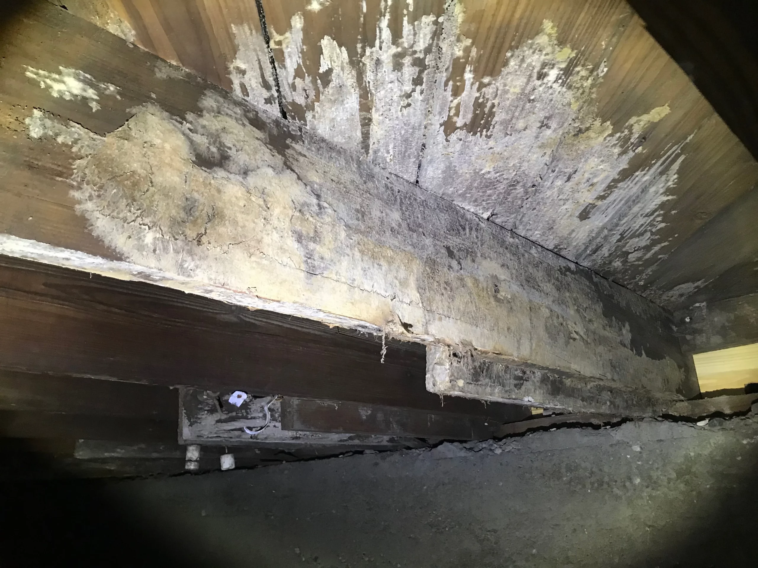 Crawl Space Mold Remediation | Premier Insulation GA