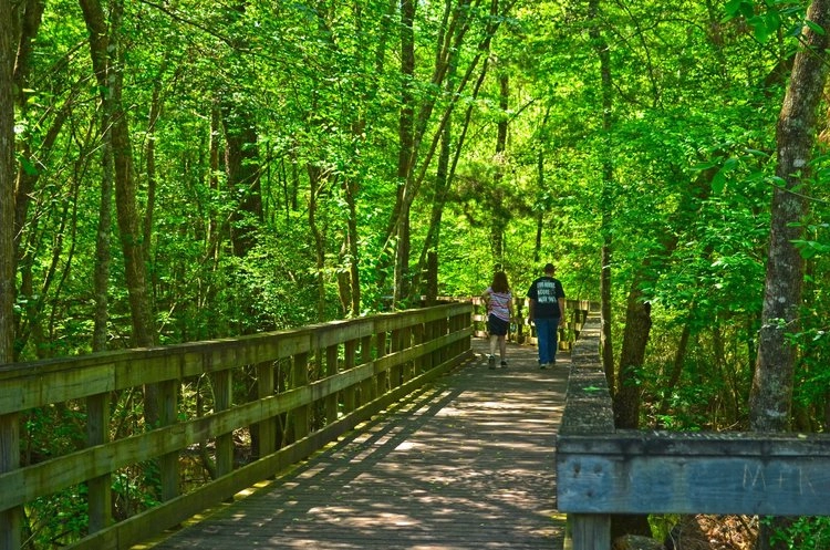 Reed Bingham State Park Reed Bingham State Park