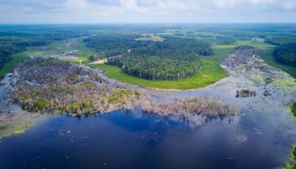 Trusted Spray Foam Insulation Contractor in Grady County, GA Trusted Spray Foam Insulation Contractor in Grady County, GA