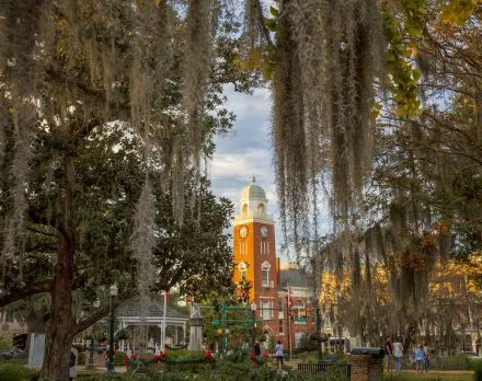 Bainbridge Downtown Square