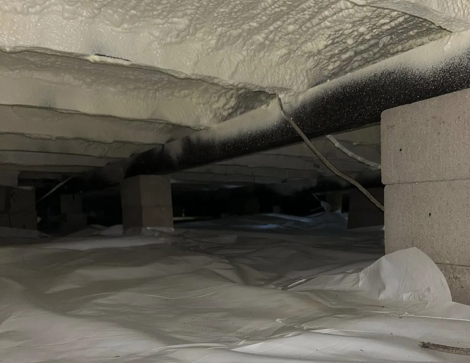 What Should You Expect During a Crawl Space Mold Inspection