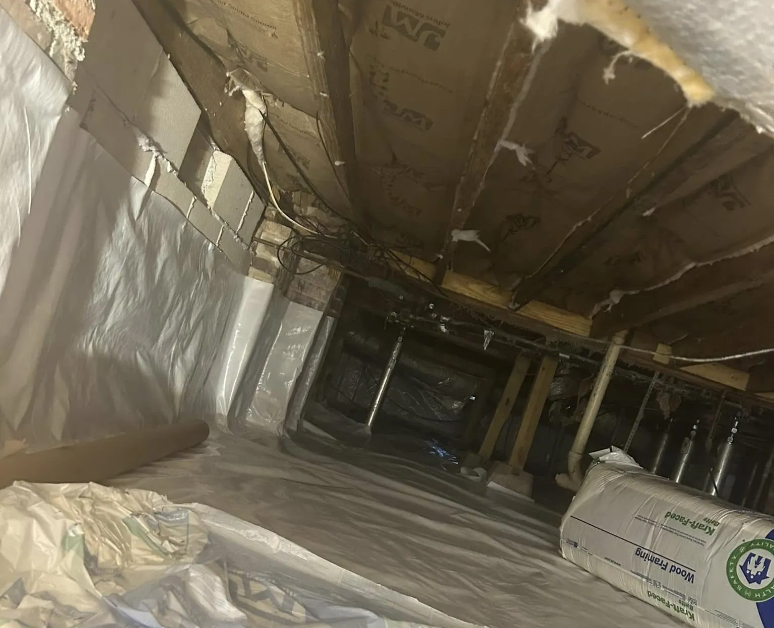 What to Expect in Crawl Space Mold Inspections?