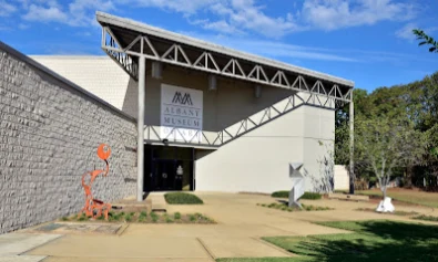 Albany Museum of Art