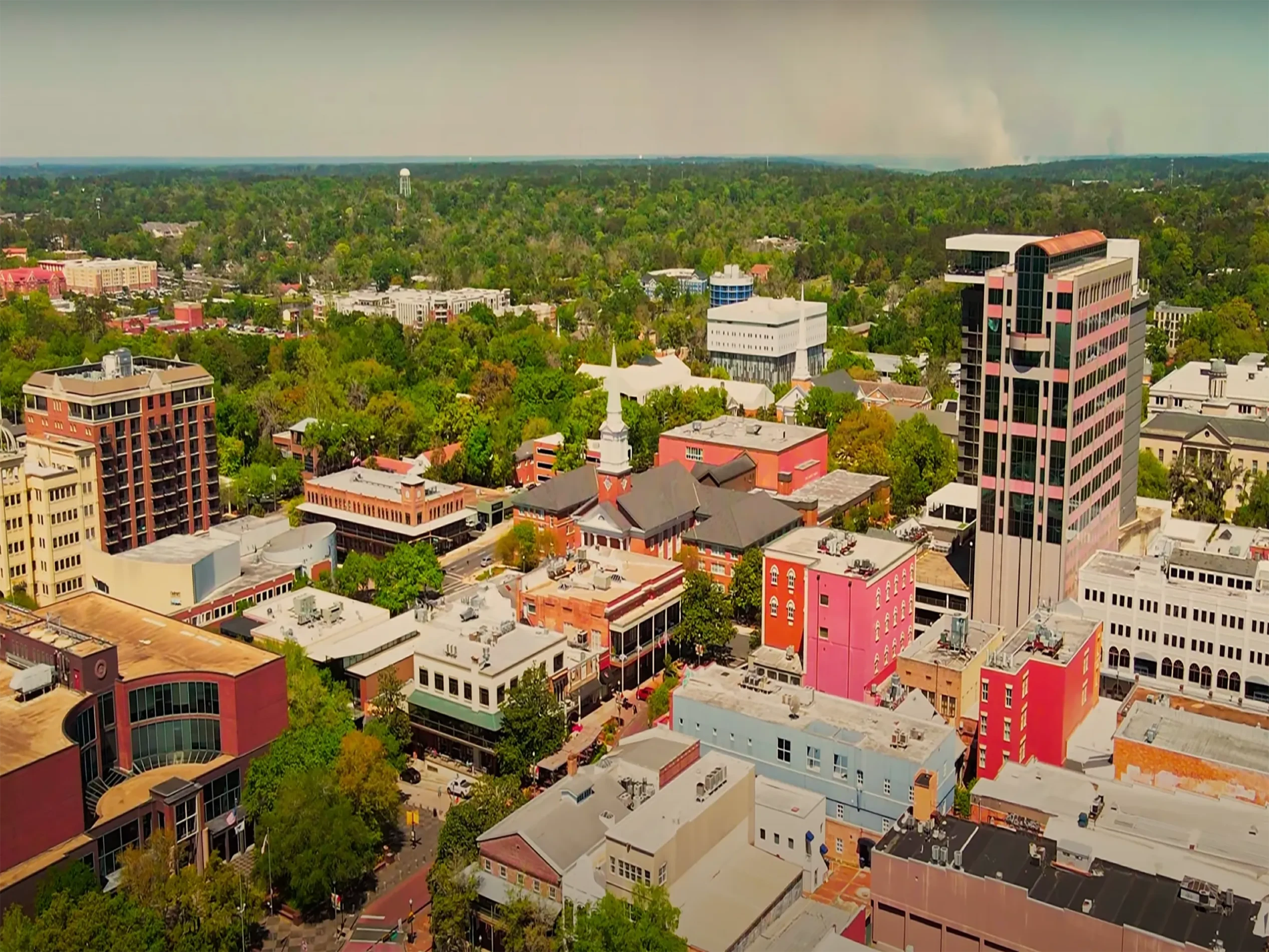 Crawl Space Mold Remediation in Tallahassee, FL Crawl Space Mold Remediation in Tallahassee, FL
