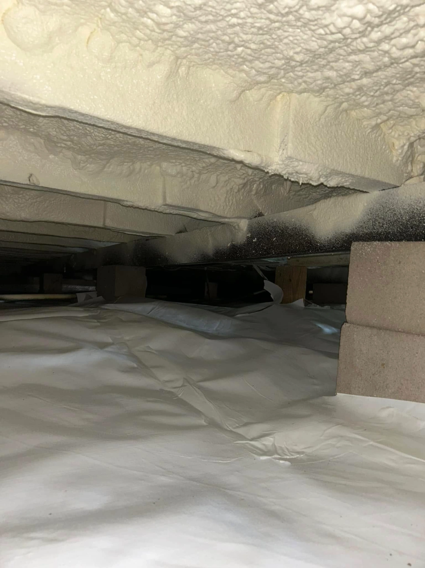 Trusted Crawl Space Encapsulation Services in Tifton, GA Trusted Crawl Space Encapsulation Services in Tifton GA