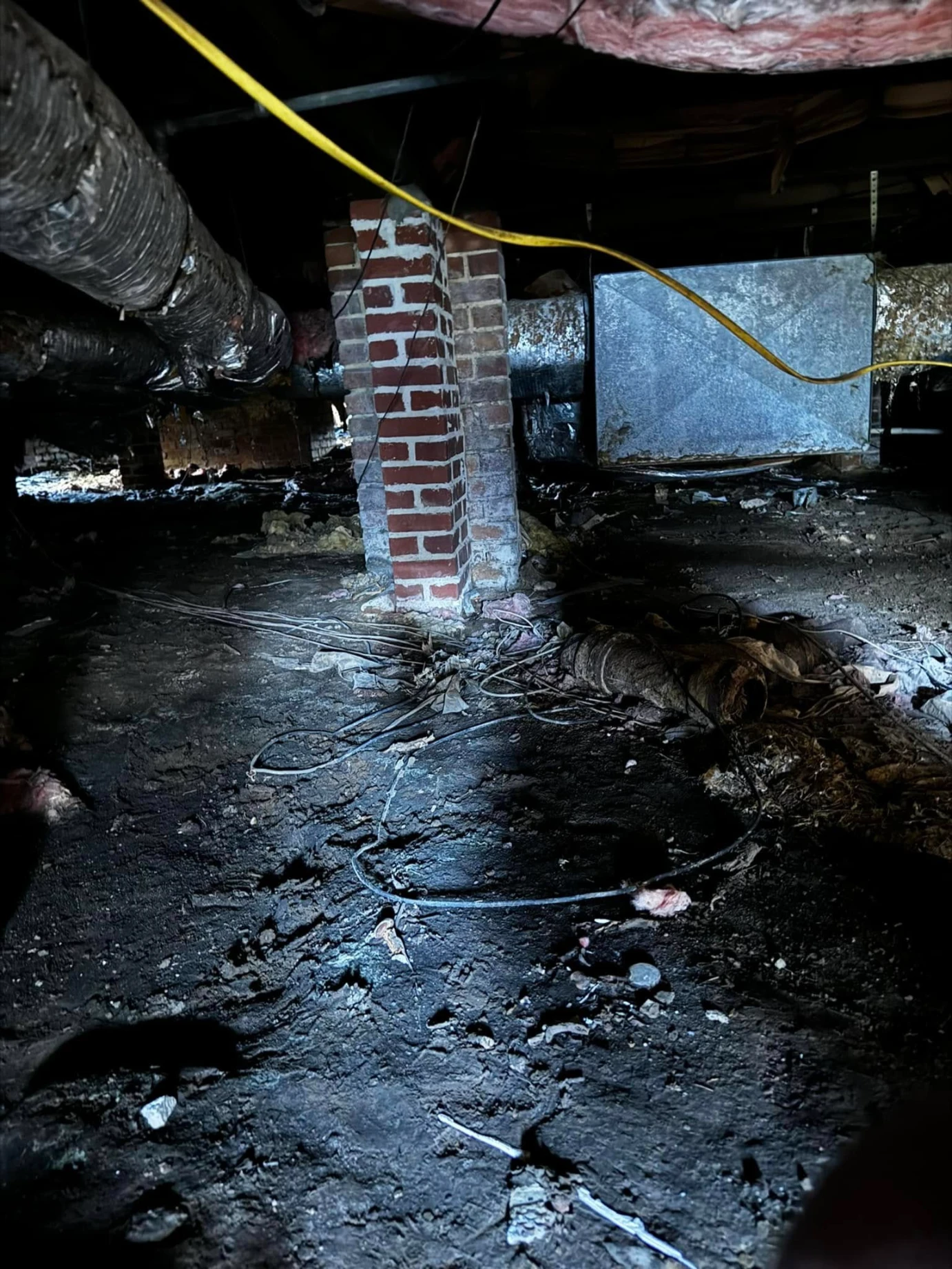 How Crawl Space Mold Remediation Can Save You Money in Boston, GA