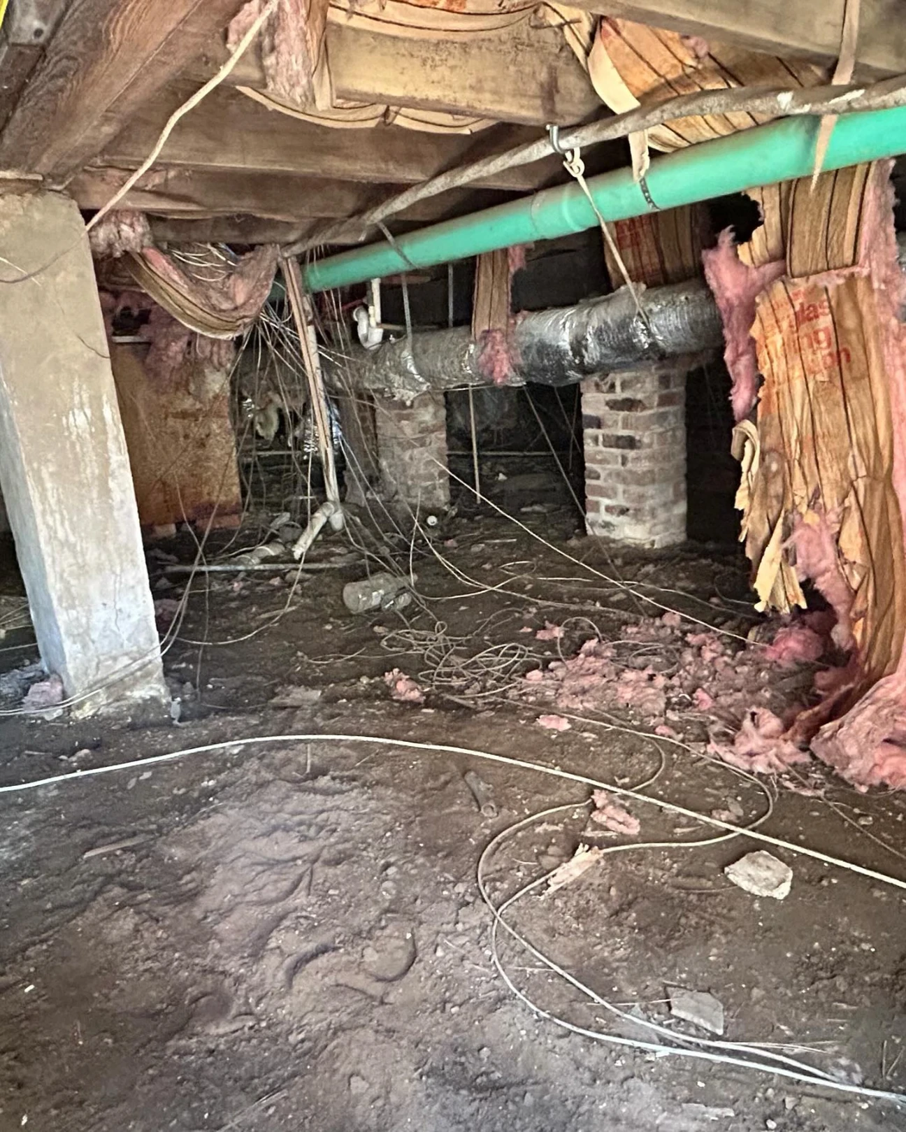 How Crawl Space Mold Remediations Can Save You Money in Boston GA