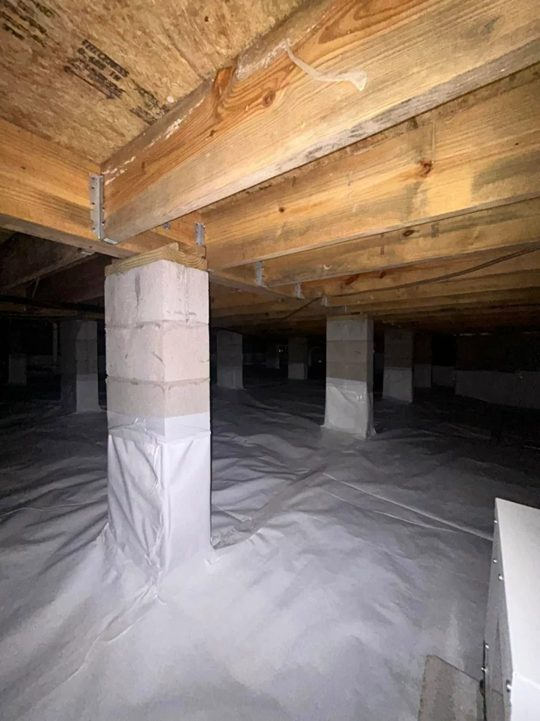 The Benefits of Crawl Space Mold Remediation for Allergy Sufferers