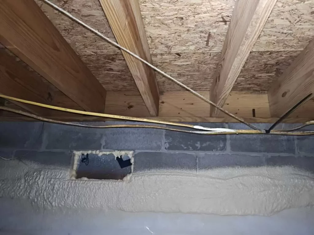 How crawl space mold remediation solves the problem of soft floor joists