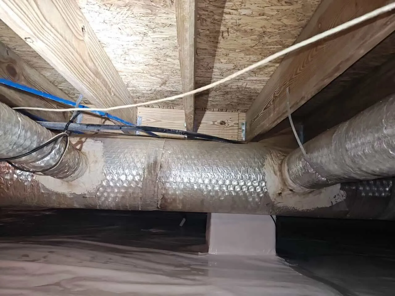 What safety gear is required during crawl space mold remediation