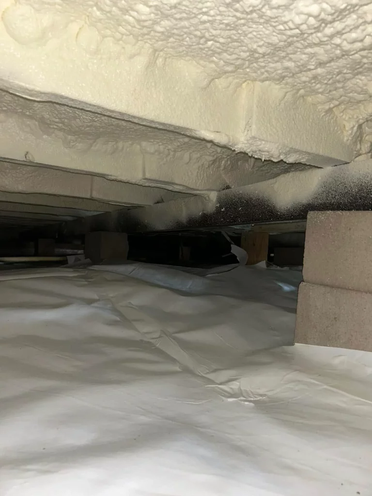Why pest control is easier after you complete crawl space encapsulation in Bainbridge, GA