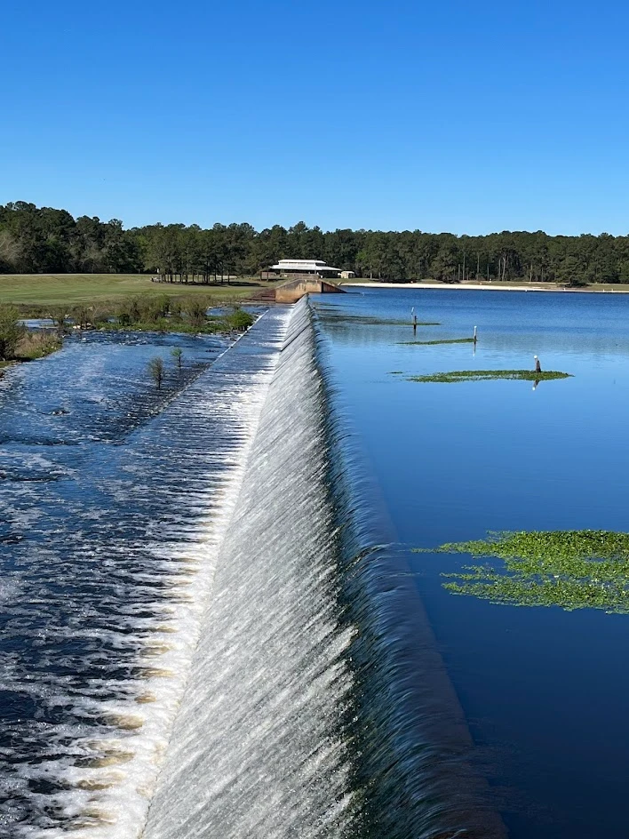 Reed Bingham State Park