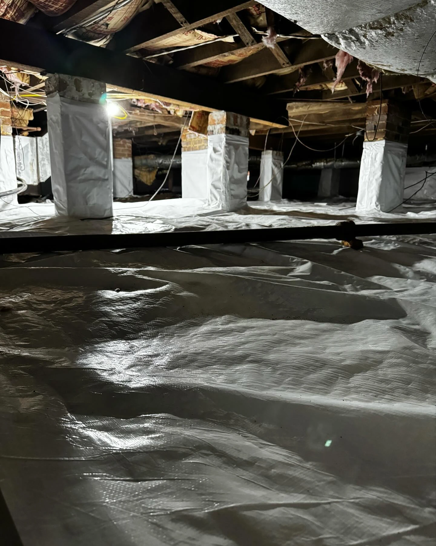 Why Crawl Space Encapsulation Helps Reduce Mold Allergens Why Crawl Space Encapsulation Helps Reduce Mold Allergens