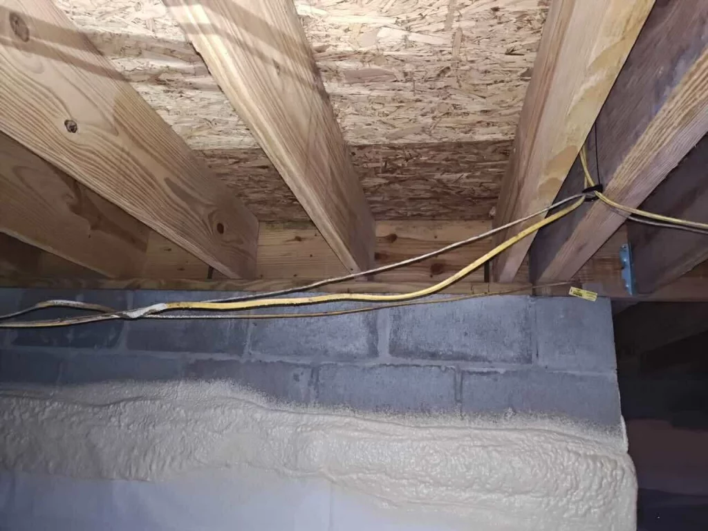 Crawl Space Mold Remediation vs Encapsulation: Which Is Right for Cairo Homes