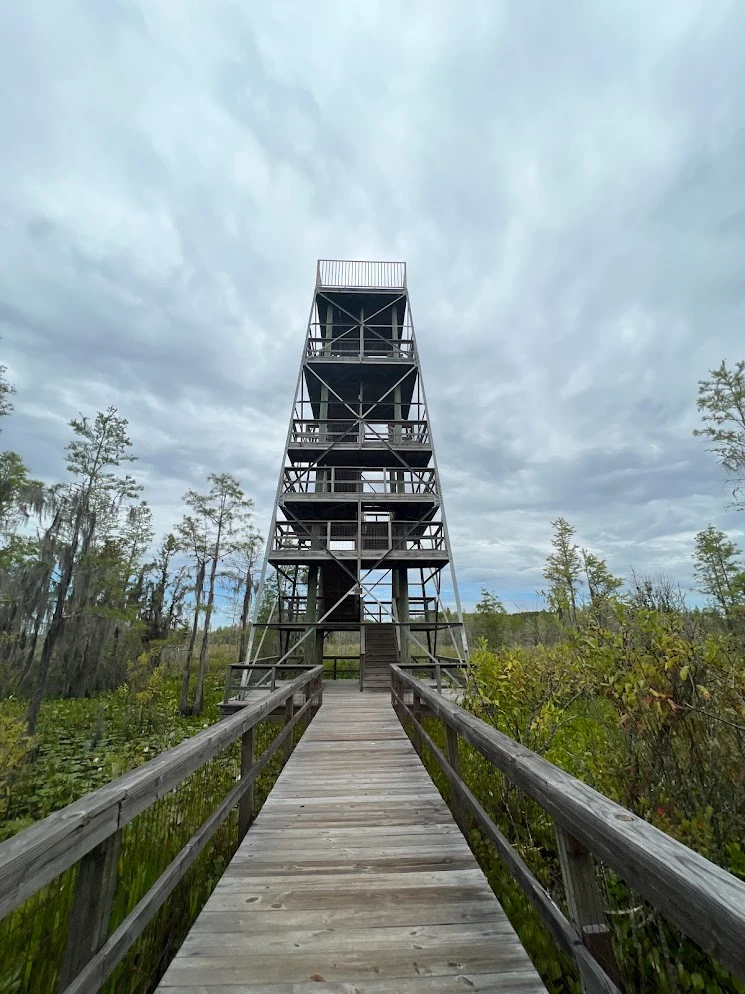 Grand Bay Wildlife Management Area