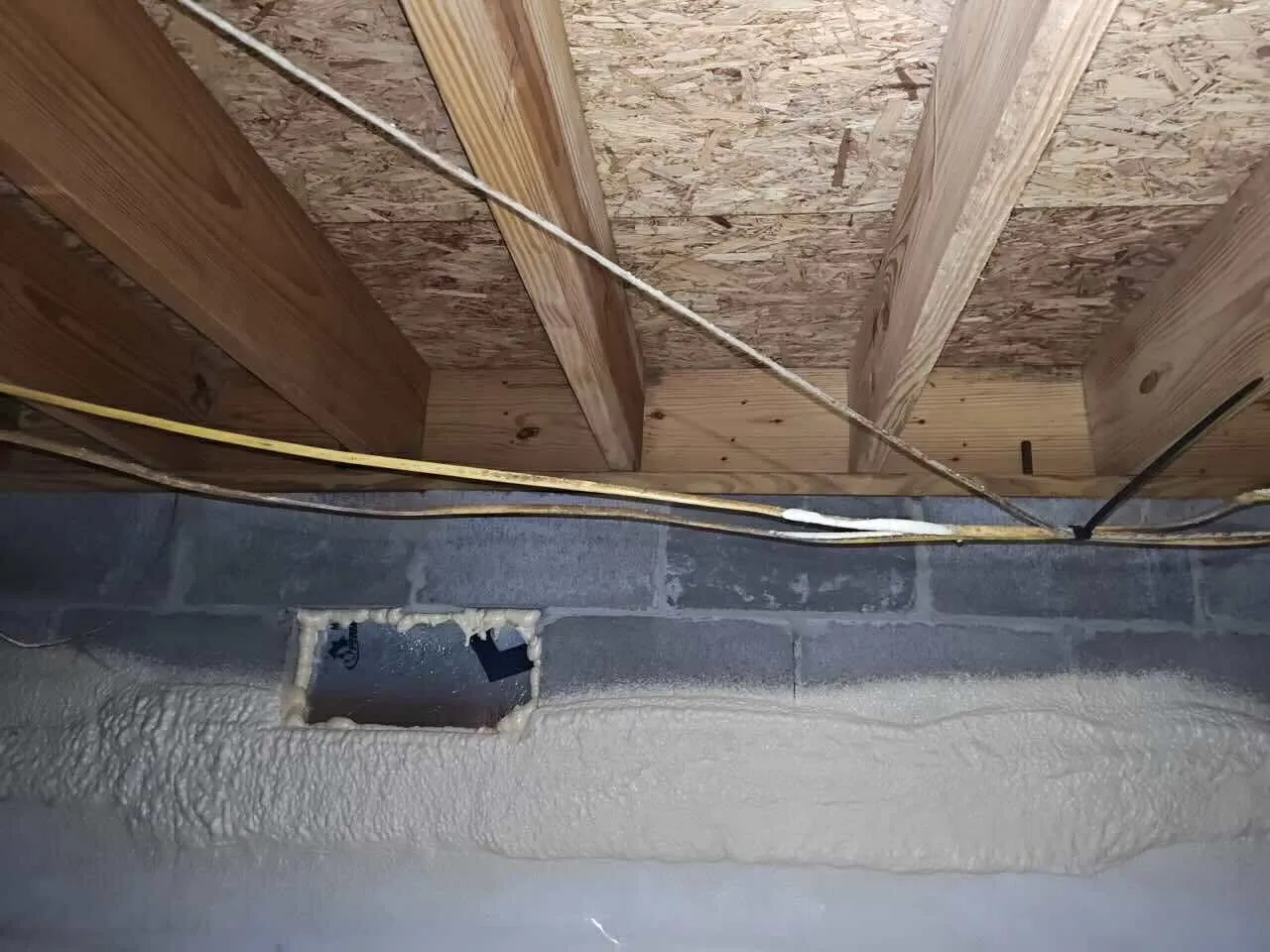 How Professionals Handle Crawl Space Mold Remediation in Valdosta, GA?