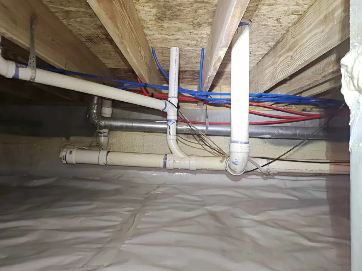 Trusted Crawl Space Mold Remediation Contractor in Valdosta, GA