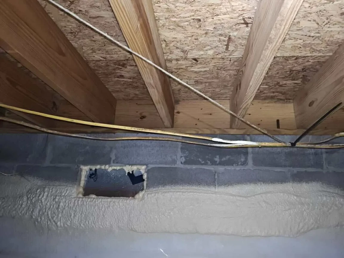 Why You Should Never Ignore a Crawl Space Mold Inspection in Valdosta, GA?