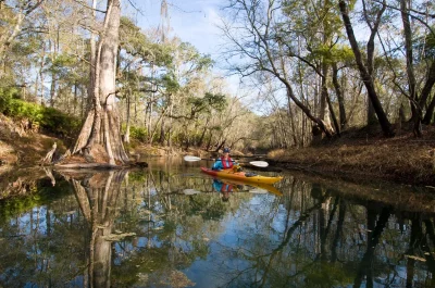 Aucilla River Paddling Trail