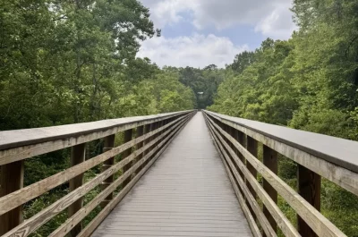 Forever Wild Trail System