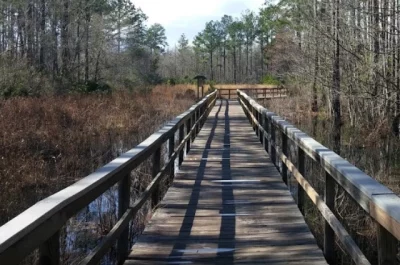 Grand Bay Wildlife Management Area