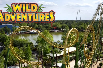 Leading Spray Foam Insulation Company in Valdosta, GA