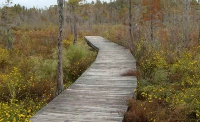 Leading Spray Foam Insulation Company in Valdosta, GA