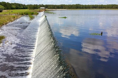 Reed Bingham State Park
